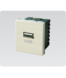  USB Hạt ổ cắm USB ( A60)